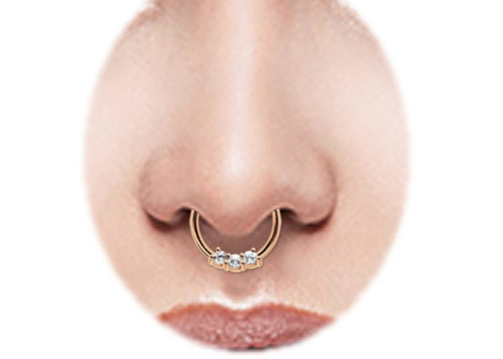 Helix 14k Gold Septum Ring, 8mm และ 10mm Nose Ring สำหรับสวมใส่ทุกวัน
